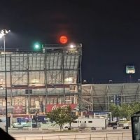 Brooklyn Trails ico