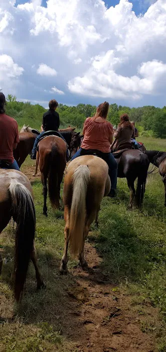 Waterloo Horse Camp & Staging Area Picture 4