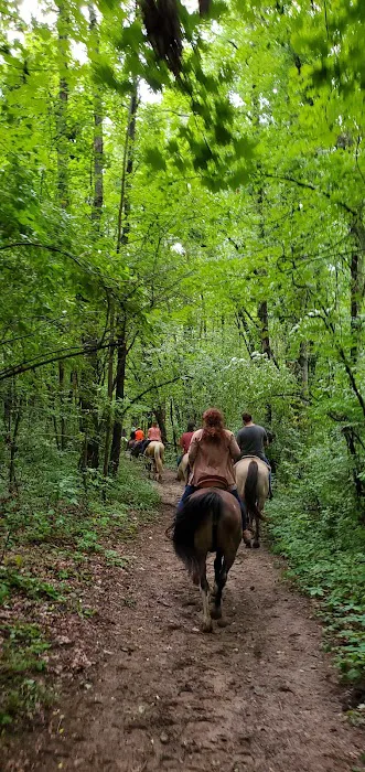 Waterloo Horse Camp & Staging Area Picture 7