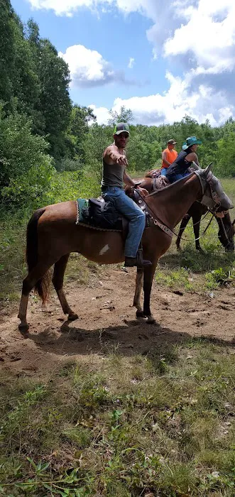 Waterloo Horse Camp & Staging Area Picture 6