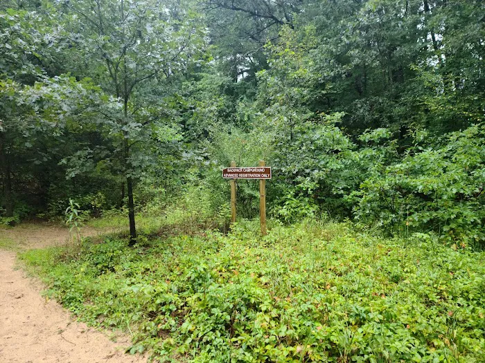 Pines Campground Picture 3