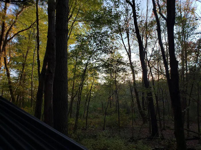 Pines Campground Picture 9