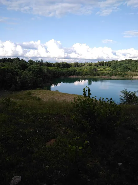 Farmlane Equestrian & Family Campground Picture 3
