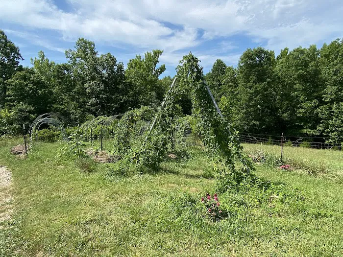 Matthews Creek Farm Picture 6