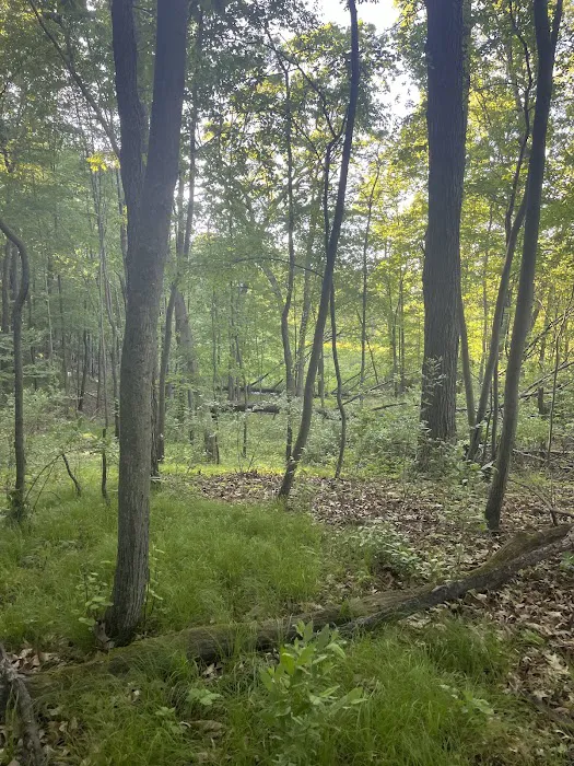 Holiday Campgrounds LLC Picture 1
