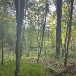 Holiday Campgrounds LLC