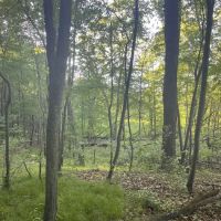 Holiday Campgrounds LLC ico