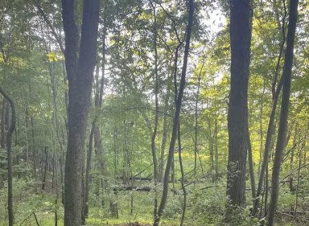 Holiday Campgrounds LLC