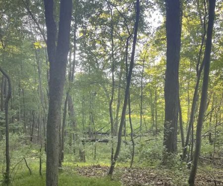 Holiday Campgrounds LLC