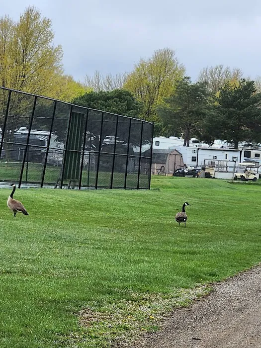 Greenwood Acres Family Campground Picture 4