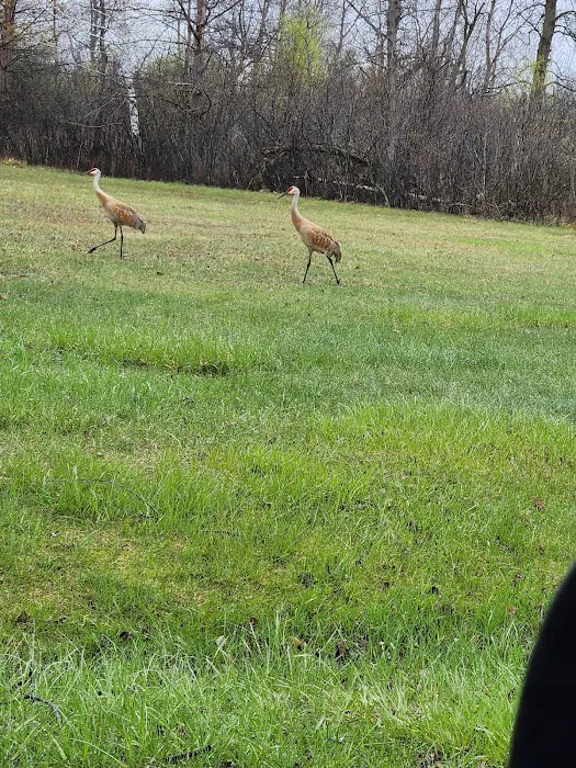 Greenwood Acres Family Campground Picture 7