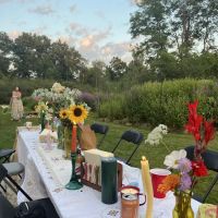 Camp davis ico