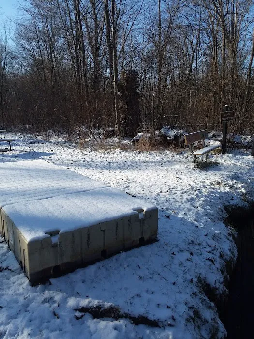 Island Lake-Canoe Campground Picture 3