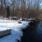 Island Lake-Canoe Campground