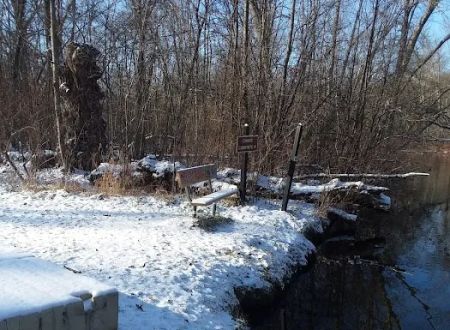 Island Lake-Canoe Campground