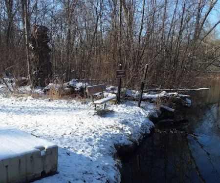 Island Lake-Canoe Campground