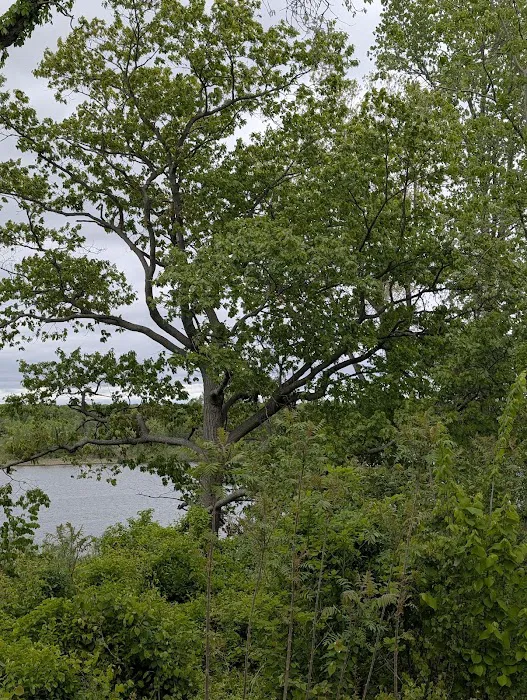 Proud Lake Rec Area - Modern Campground Picture 7