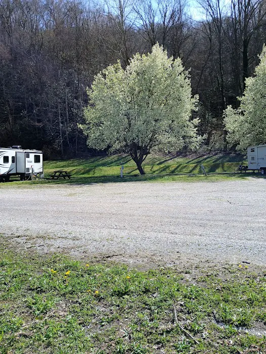 Portal 31 RV Park Picture 7