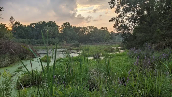 Bishop Lake Campgrounds Picture 3