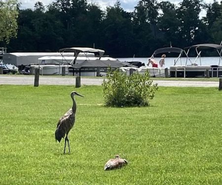 White Lake Campground