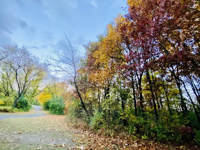 Pontiac Lake State Recreation Area Campground Picture 6