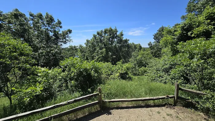 Pontiac Lake State Recreation Area Campground Picture 5