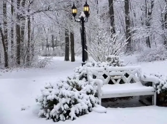 Lake Chemung Outdoor Resort Picture 2