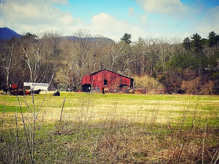 Brookside RV Resort Picture 5