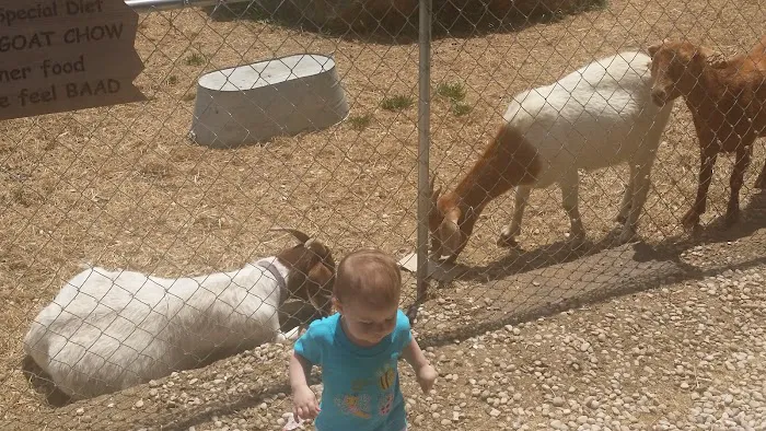 Brookside RV Resort Picture 10