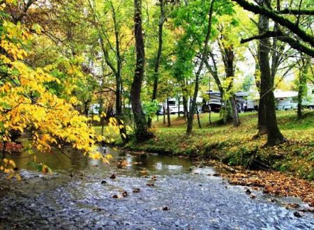 Up the Creek RV Camp