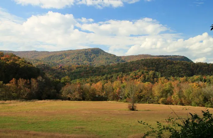 Up the Creek RV Camp Picture 5