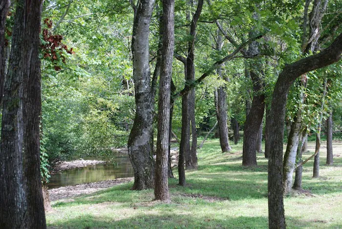 Up the Creek RV Camp Picture 9