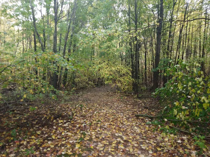 Shady Acres Campgrounds Picture 2