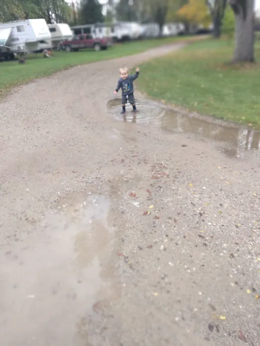 Shady Acres Campgrounds Picture 1