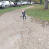 Shady Acres Campgrounds ico