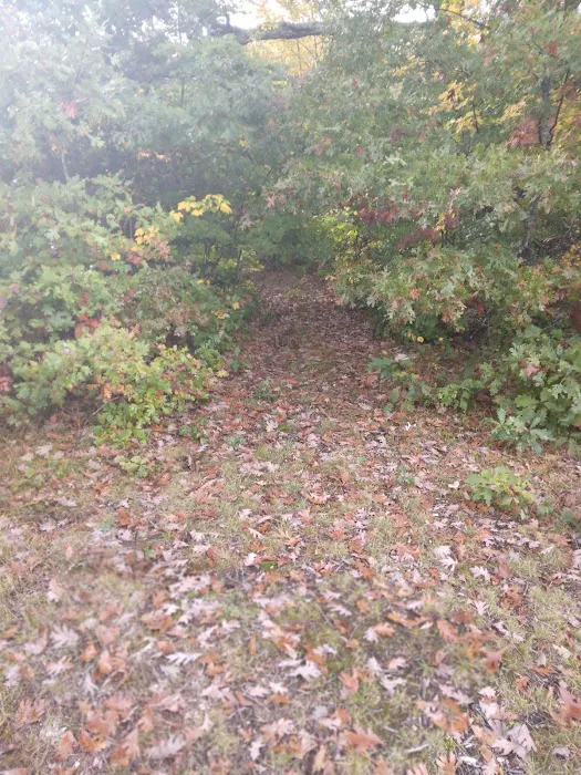 Shady Acres Campgrounds Picture 10