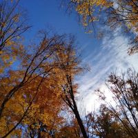 Southern Michigan Marble Springs Campground ico