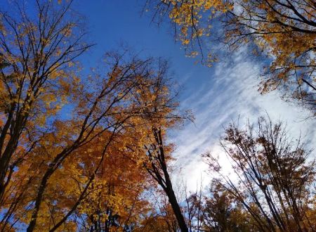 Southern Michigan Marble Springs Campground