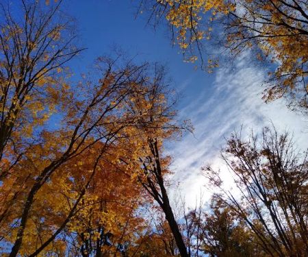 Southern Michigan Marble Springs Campground