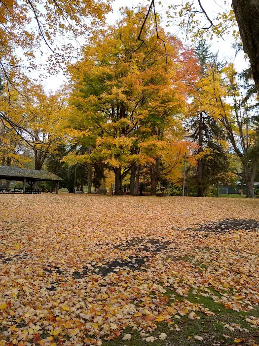 Southern Michigan Marble Springs Campground Picture 3