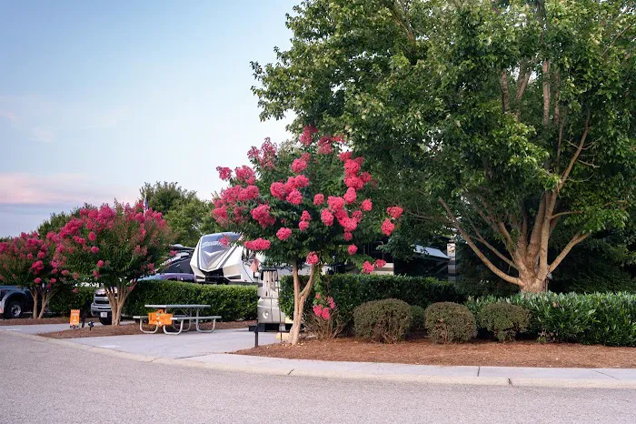 Two Rivers Landing RV Resort Picture 4