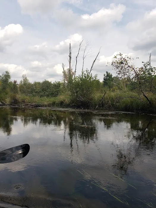 Twin Pine Campground & Canoe Picture 7