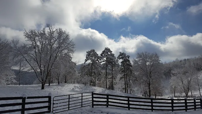 Walnut Hollow RV Ranch Picture 4