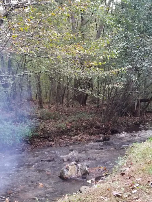 Twin Creeks RV Park Picture 8
