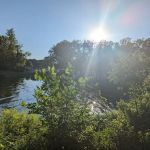 Lotus Cove Campground
