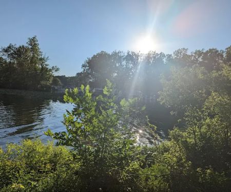 Lotus Cove Campground