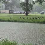 Lake Loramie State Park Campground