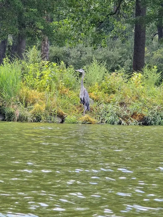 Lake Loramie State Park Campground Picture 8