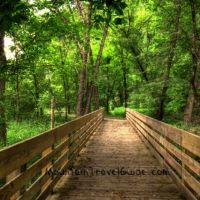 The Meadows at Double Creek ico