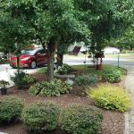 Choestoe Falls RV Park